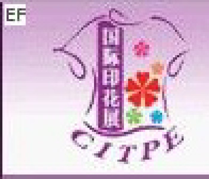 2008東莞國際紡織品工業技術展覽會