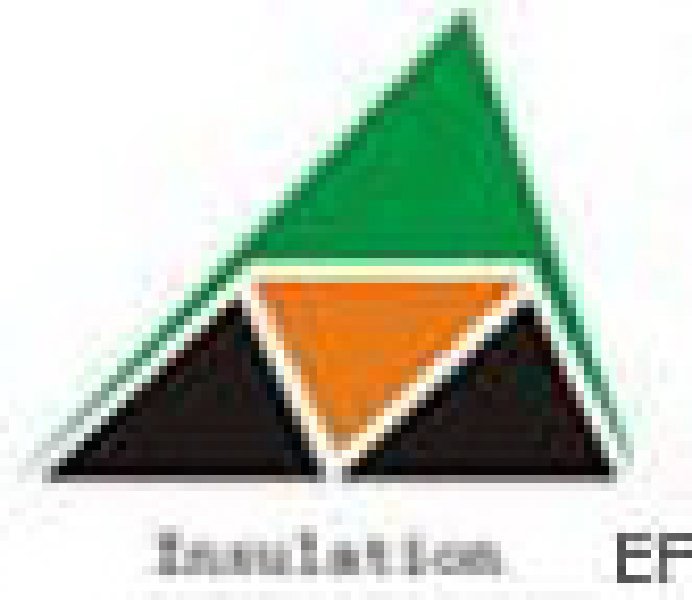 第四屆廣州國際絕緣材料展暨2008全國絕緣材料產業高峰論壇