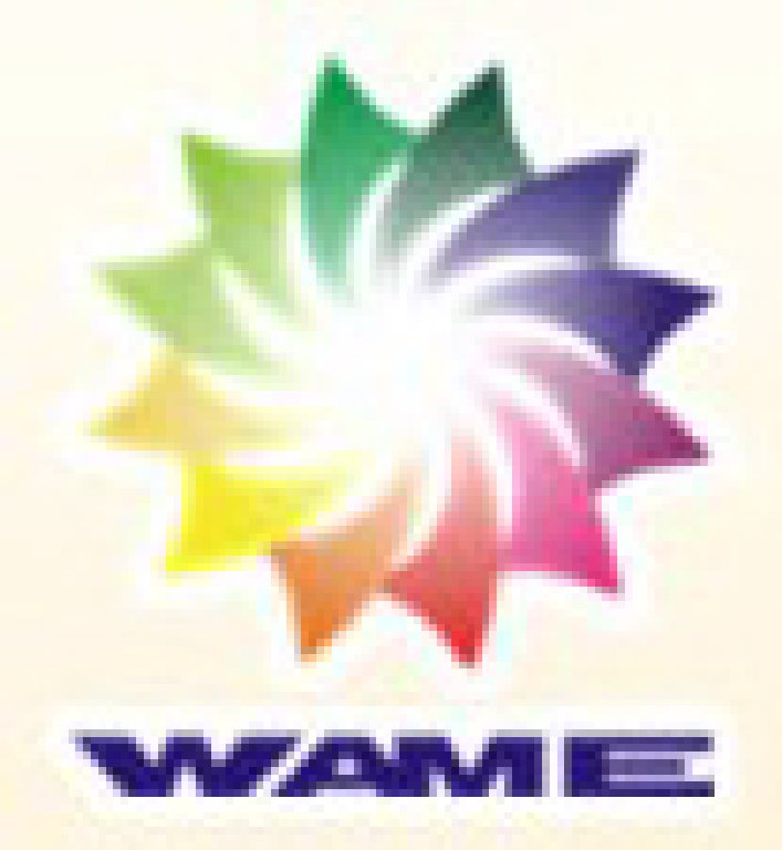 2012第四屆武漢印刷、包裝、紙業展覽會