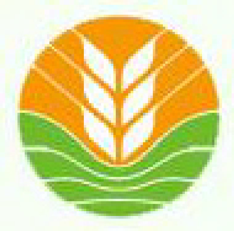 2011第十一屆中國國際糧油產品及設備技術展覽會