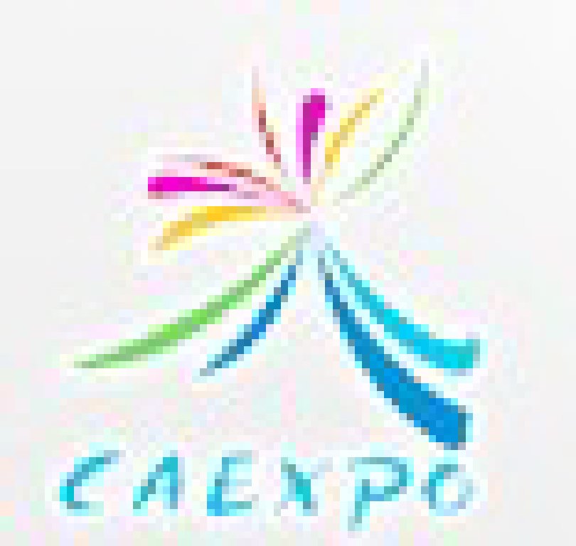 2011第八屆中國(guó)--東盟博覽會(huì)